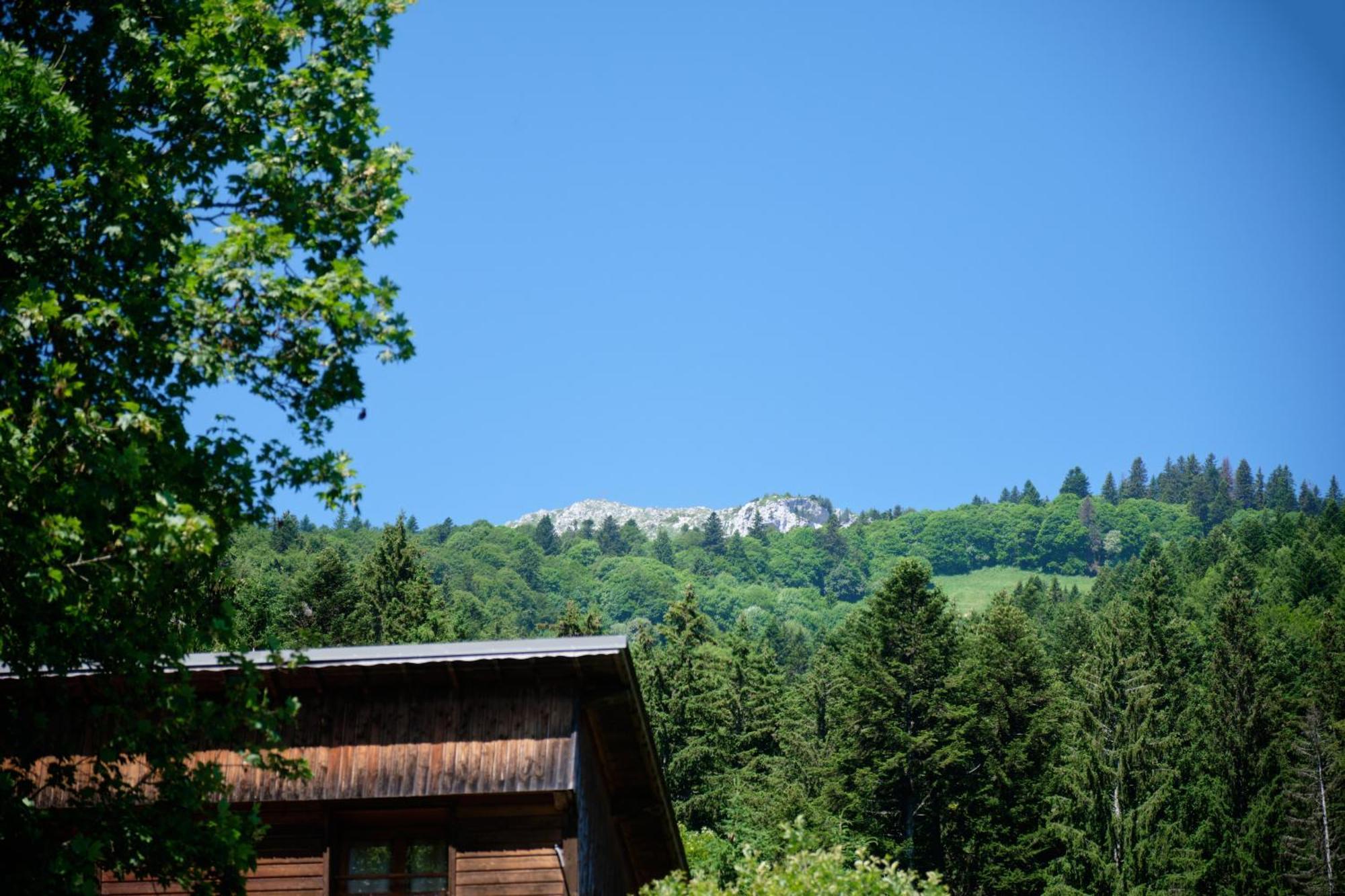 Chalet Le Lys Martagon Saint-Pierre-d'Entremont  Extérieur photo